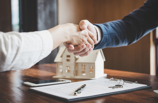 Expertises pour professionnels
