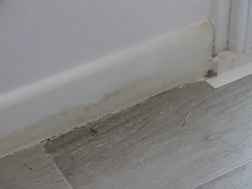 Humidité