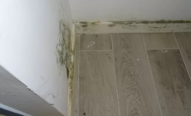 humidité