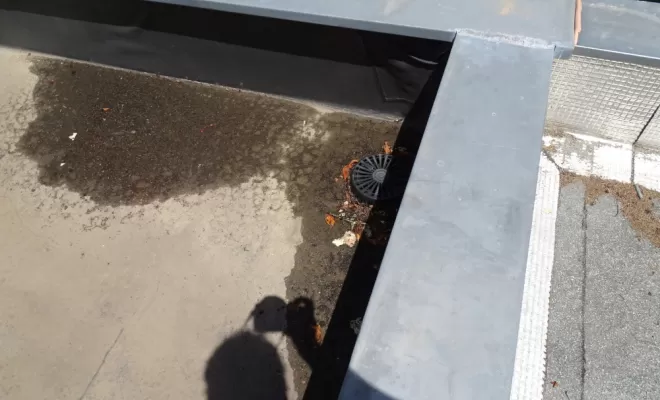 Expertise étanchéité et malfaçon de toiture terrasse à VILLENAVE-D'ORMON, Bordeaux, E.C.B.I